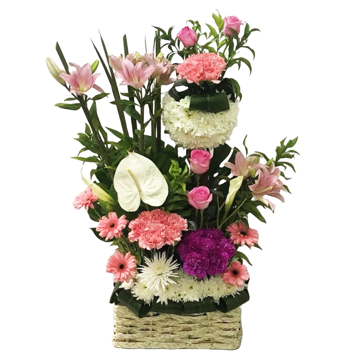 Pink Rose & Chrysanthemum