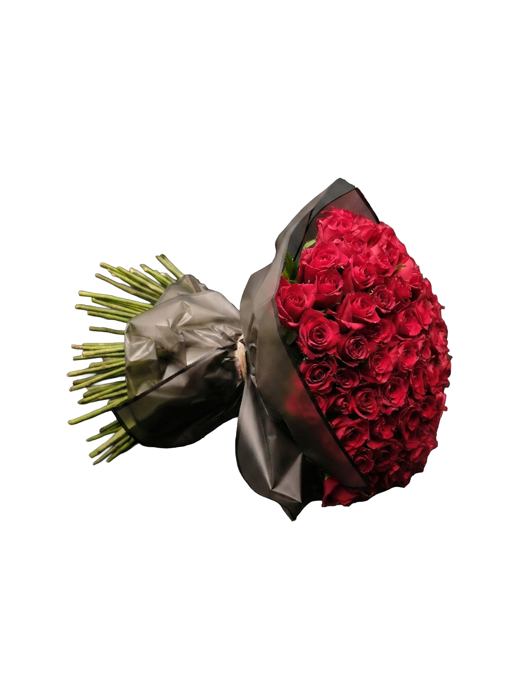 Red Roses of Passion