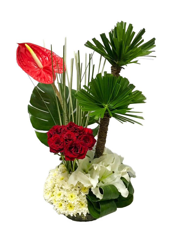 Tropical Paradise Tower 